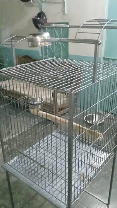 Gray parrot Cakato cage