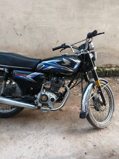 Honda 2010 madal