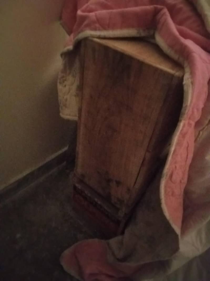 Raw setup and ringneck 2