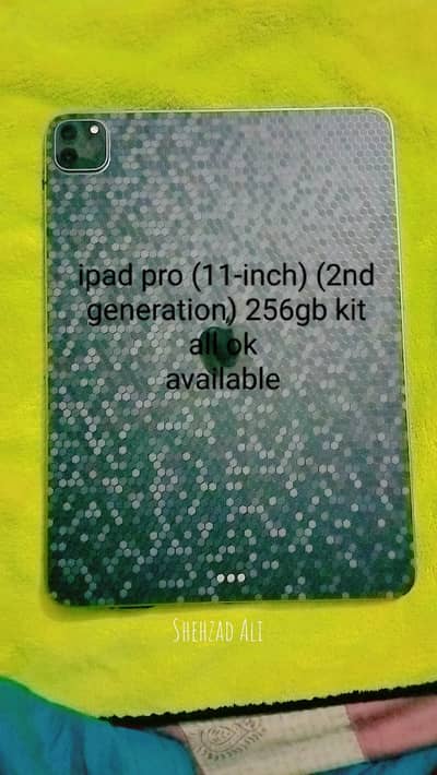 ipad pro 11-inch 256gb 10/9 condition all ok