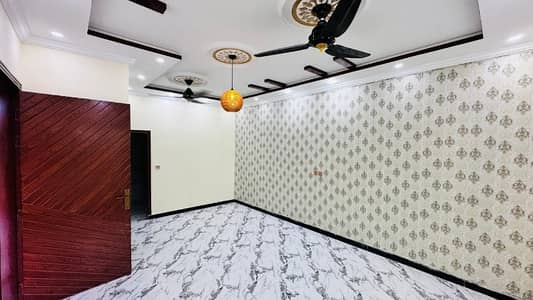 House For Rent 5 Marla Single Storey brand new Beautiful House