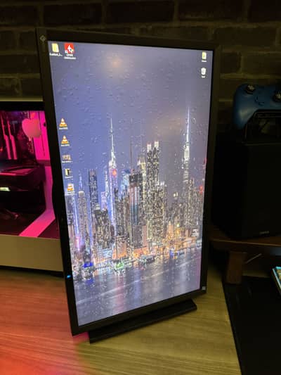EIZO 1080p monitor