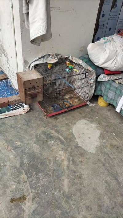 2 cage for sale