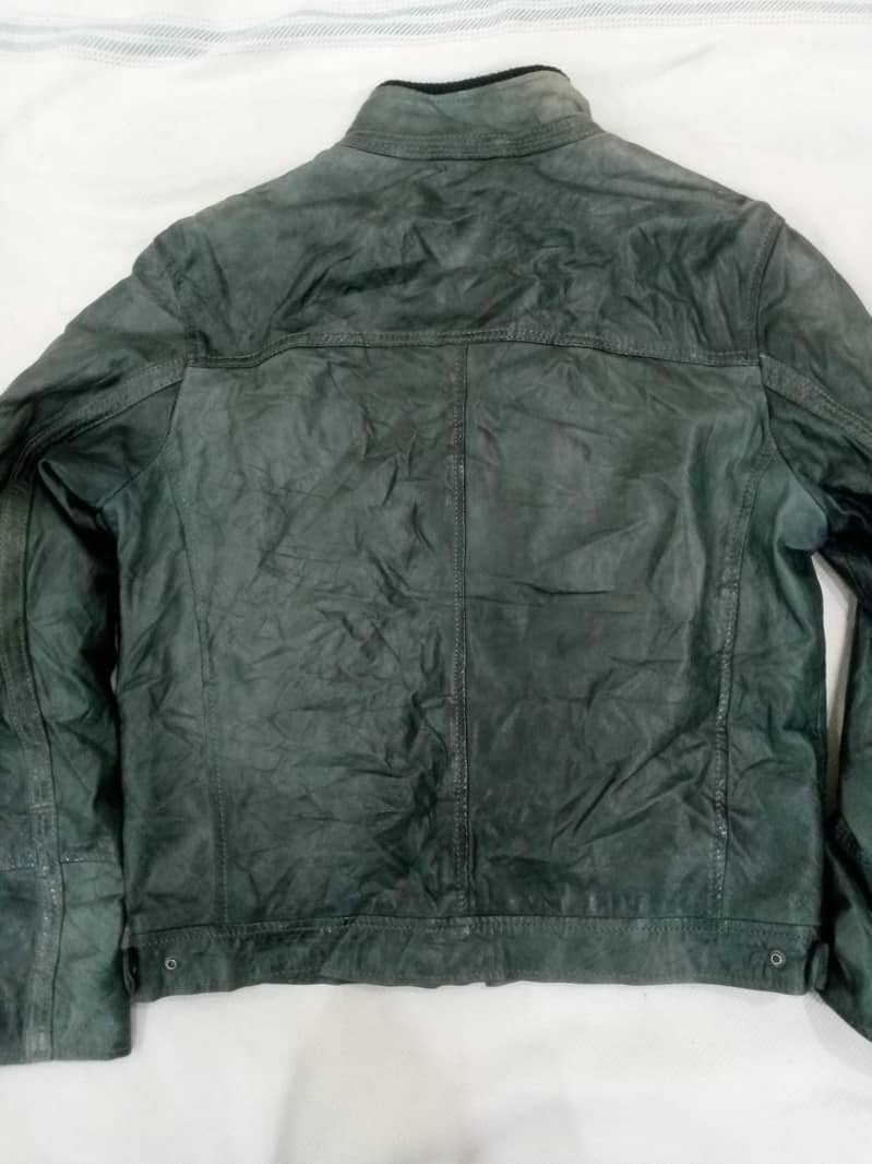 Leather Jacket 3