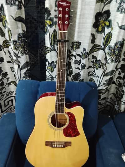 acoustic guitar