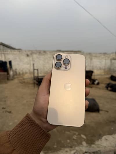 16 ProMax 256GB [PTA approved]