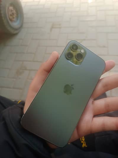 Apple iPhone 12 Pro  only olx chat