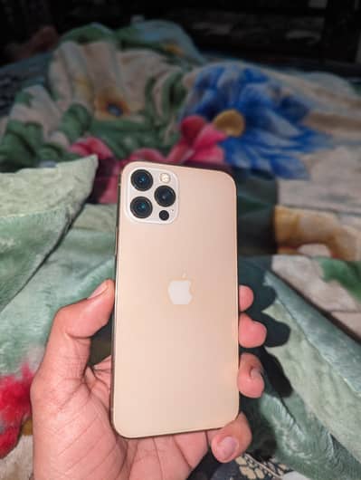I phone 12 Pro (Official PTA approved) With Full Box 