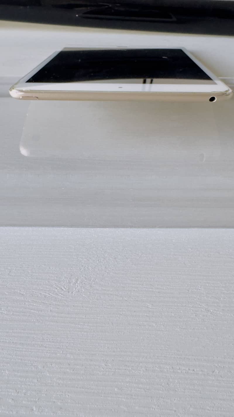 Ipad mini 4 3