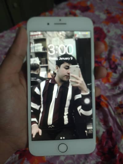 price final hai only sirias buyer contec