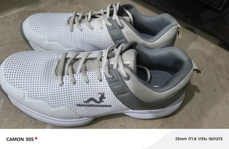 WOOD WORM cricket gripper shoes