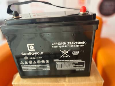 12 volt sunsaviour lithium iron phosphate Battery