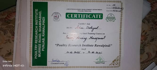 purer breed A+ catagrey