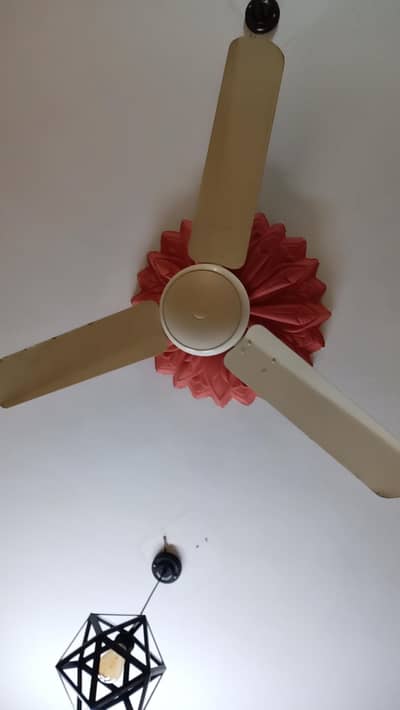 royal energy saving fan