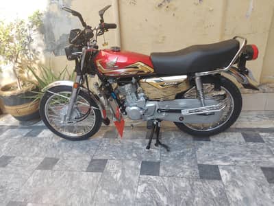 New Brand 2026 model