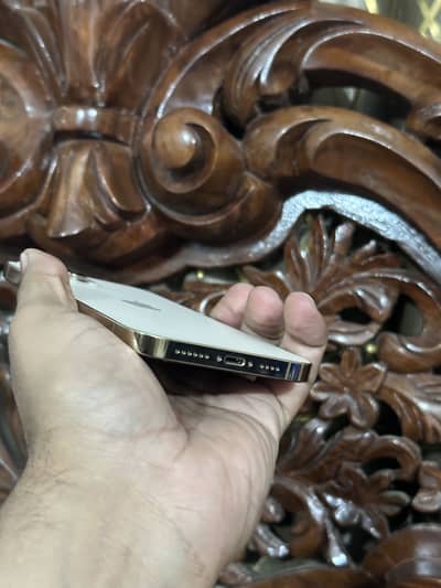 12 pro Max PTA Approved