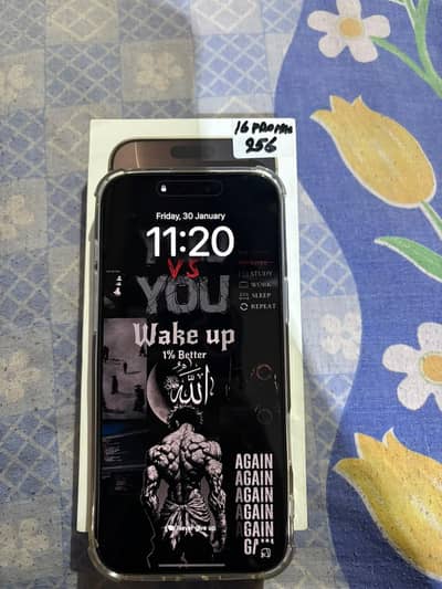 IPHONE 16 PRO MAX 256 GB house neat and clean without charger