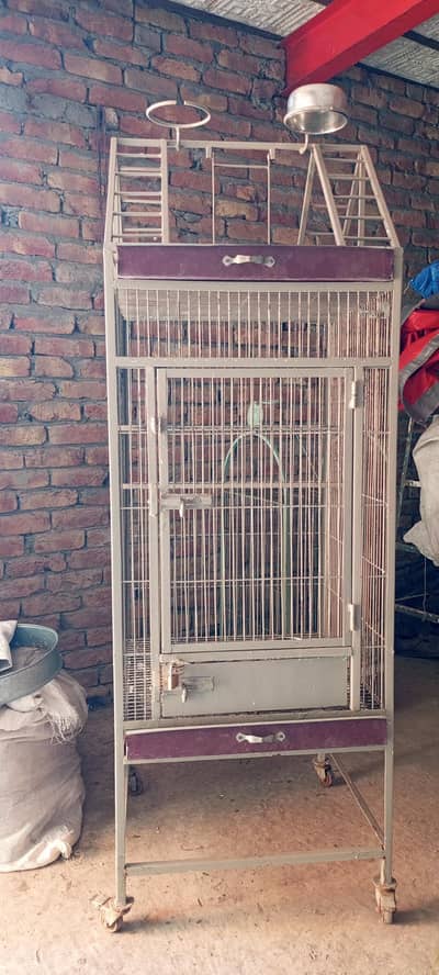 bigg parrot cage