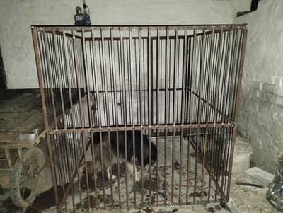 iron cage 5×5 . . 03211844066