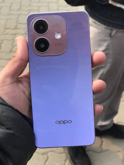 WhatsApp num 03187109904