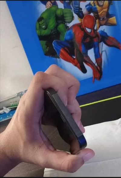 panel change pta approved I phone 12