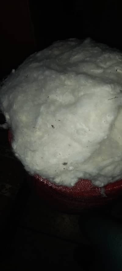 دیس روئ دستیاب ہیں