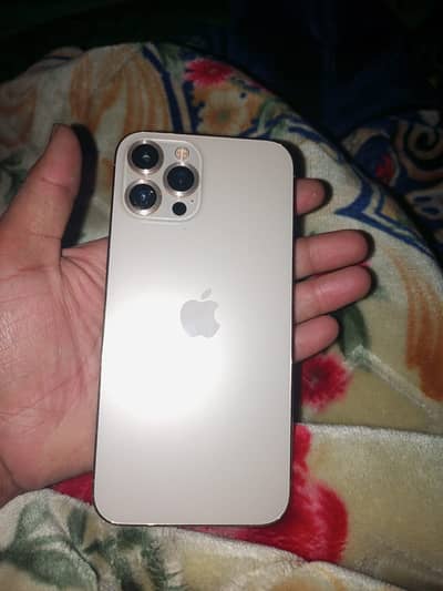 Apple iPhone 12 Pro Max