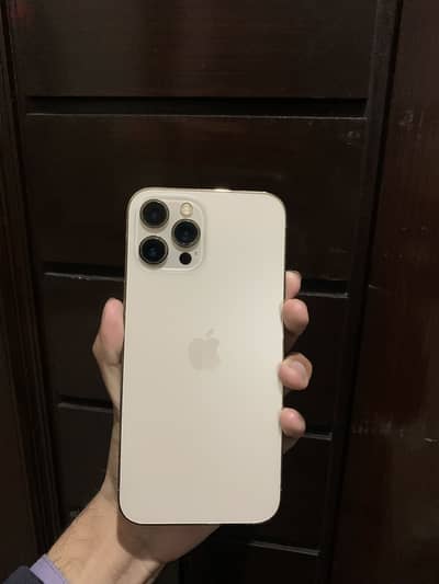 Iphone 12 pro max pta approved