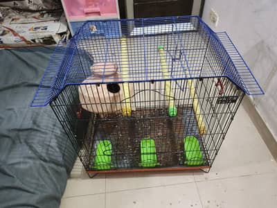 parrot cage
