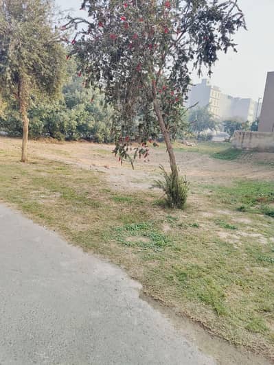Residential Plot For Sale DHA Lahore Phase 6 (L Block)