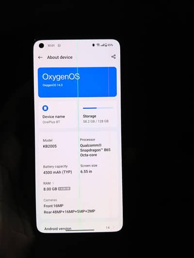 one plus 8t dual sim pta