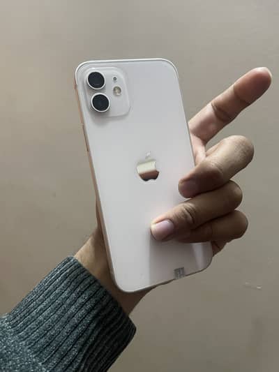 Iphone 12 pta approve