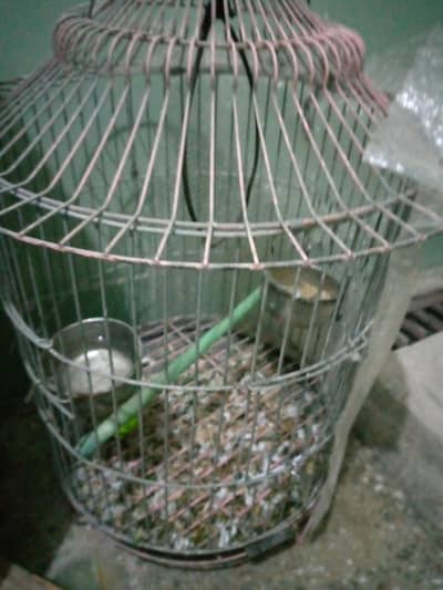 parrot cage