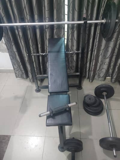 Gym Equipment in Cheap