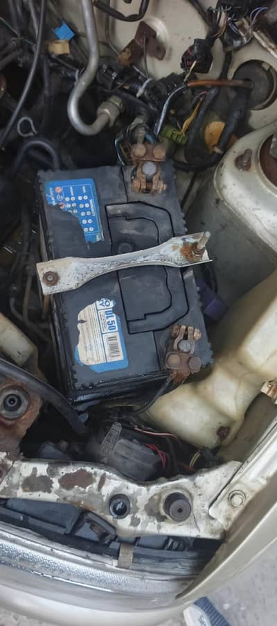 چھت جانور ہے باقی شاور ہے