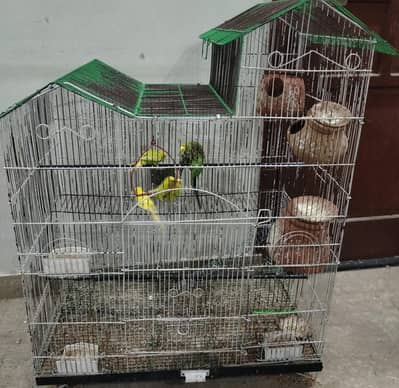 Cages For Sale