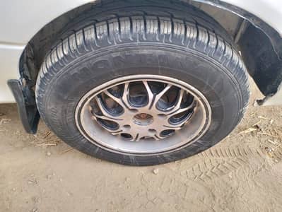 Japani margalla. (price almost final)