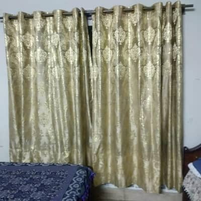 curtains golden color