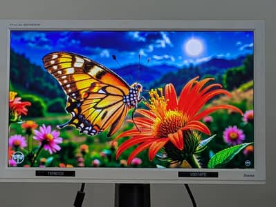 24 inch LED available