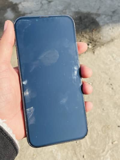 iPhone 13 Pro Max Jv