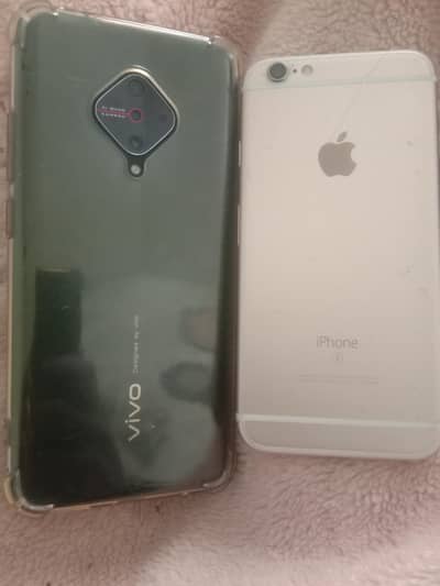 vivo y 51 or iphone 6 hai