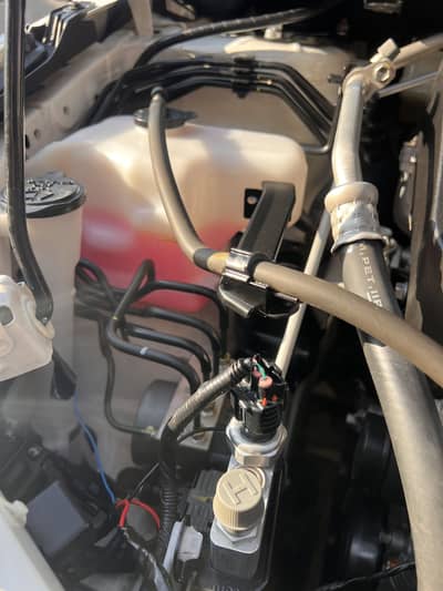 Original 13 hazar milge total genuine