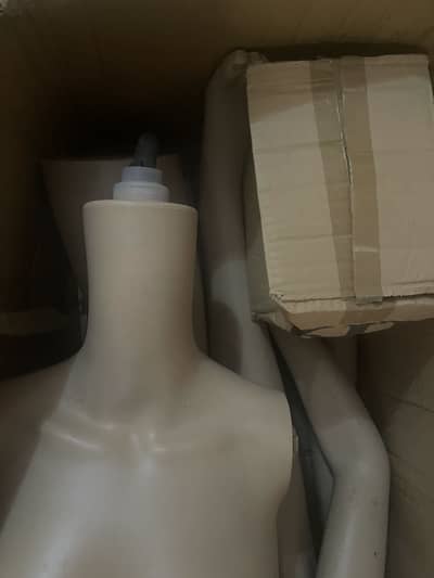 Full plastic dummy imported price in Pakistan