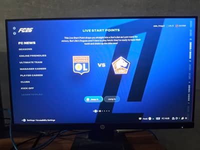 HP 24 inch Borderless Monitor