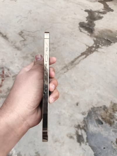 I phone 12 pro max dual  pta  physical e