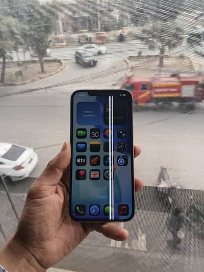 12 pro max factory unlock read add