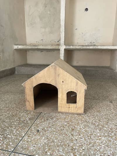Cat wood house