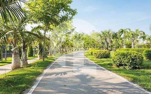 Farmhouse Land Available on Badian Road, Lahore