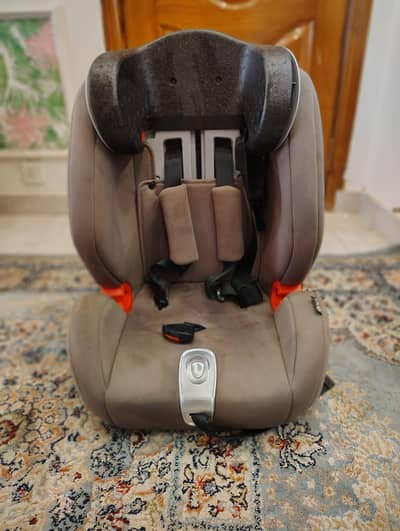 Tinnies Car Seat Convertable