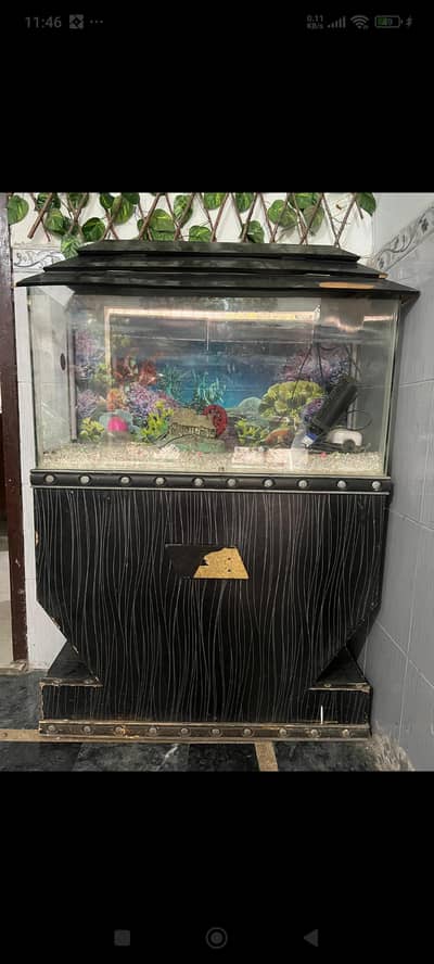 Aquarium for sale
